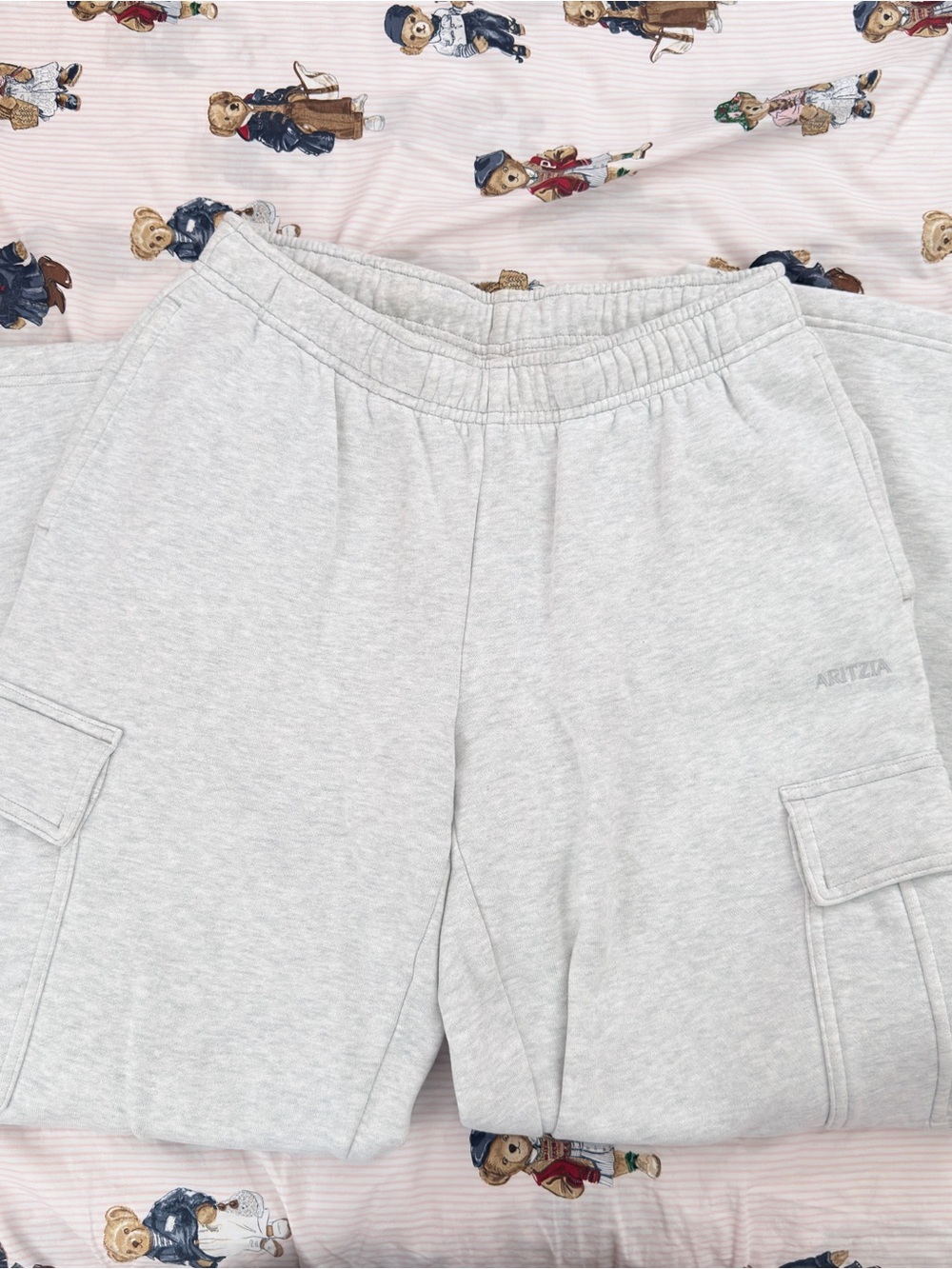 Aritzia Cargo Sweats